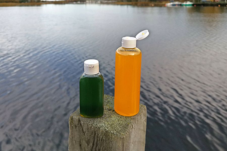 Wholesale PE and PET plastic bottle with Flip-Top Cap